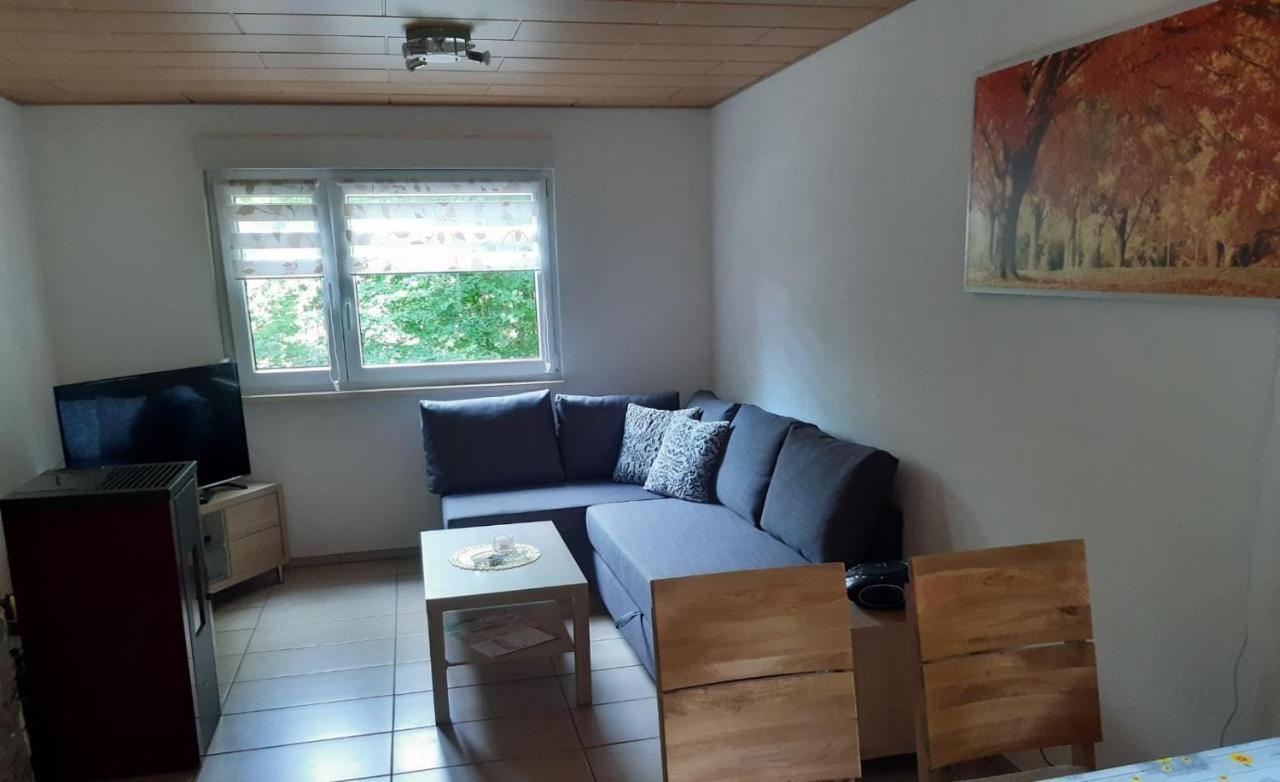 Feriendorf "Am Forsthaus" Mosbach Mosbach  Buitenkant foto